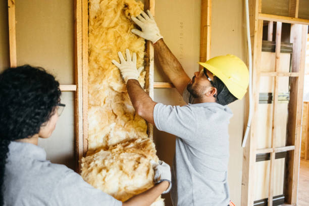 Types of Insulation We Offer in Olney, TX